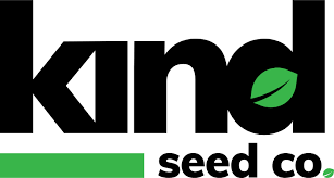 Exploring the Best Cannabis Seeds in Rhode Island Exploring the Best Cannabis Seeds in Rhode Island