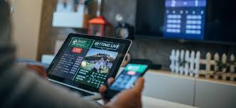 Exploring the Features and Benefits of Safi Bet Exploring the Features and Benefits of Safi Bet