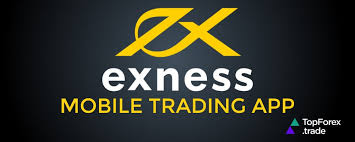 Unlocking the Potential of trading with Exness Trading API